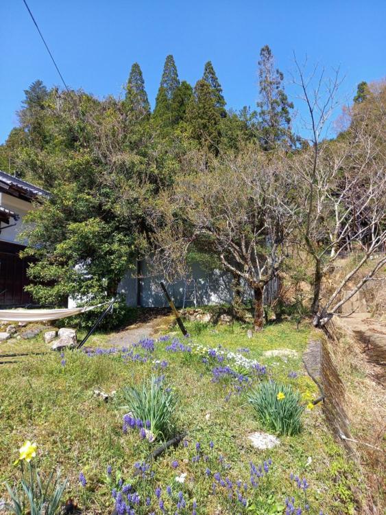 1日1組限定 田舎体験 古民家宿 樹々庵 Juju-An Gero Esterno foto